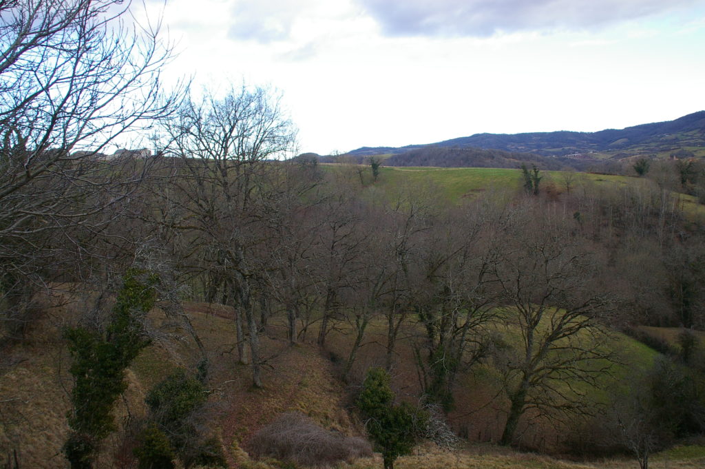 Vue sur la campagne Aveyronnaise de l'Atelier Tutti Colori